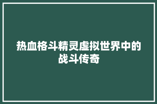 热血格斗精灵虚拟世界中的战斗传奇