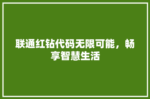 联通红钻代码无限可能，畅享智慧生活
