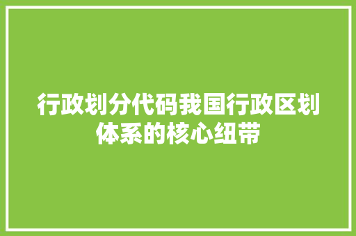 行政划分代码我国行政区划体系的核心纽带