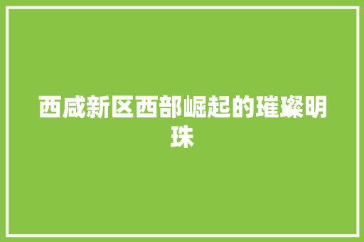 西咸新区西部崛起的璀璨明珠