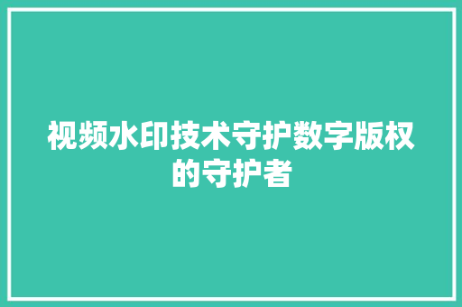 视频水印技术守护数字版权的守护者