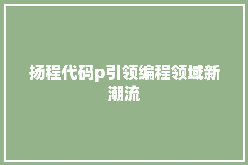 扬程代码p引领编程领域新潮流