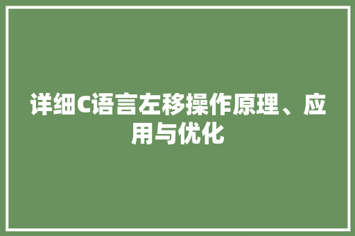 详细C语言左移操作原理、应用与优化