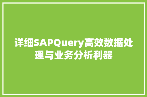 详细SAPQuery高效数据处理与业务分析利器