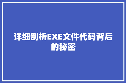 详细剖析EXE文件代码背后的秘密
