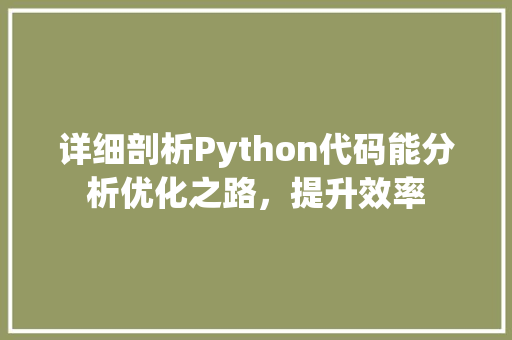 详细剖析Python代码能分析优化之路，提升效率