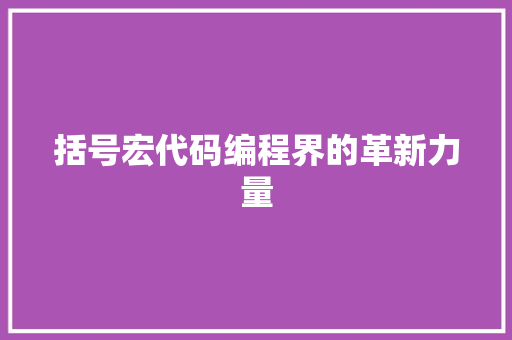 括号宏代码编程界的革新力量