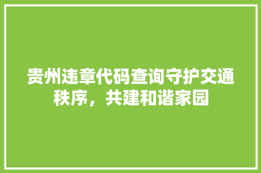 贵州违章代码查询守护交通秩序，共建和谐家园