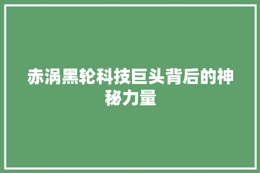 赤涡黑轮科技巨头背后的神秘力量