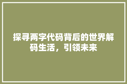 探寻两字代码背后的世界解码生活，引领未来