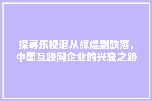 探寻乐视退从辉煌到跌落，中国互联网企业的兴衰之路