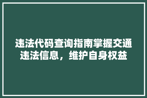 违法代码查询指南掌握交通违法信息，维护自身权益