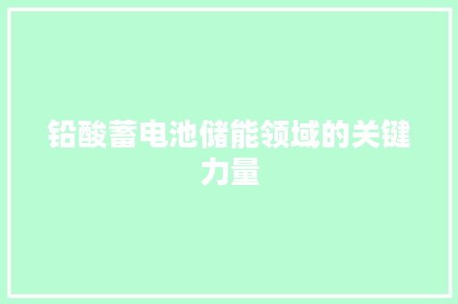 铅酸蓄电池储能领域的关键力量