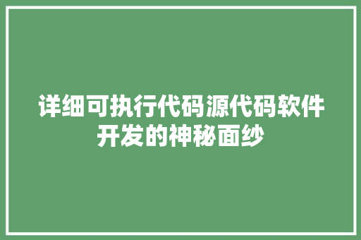 详细可执行代码源代码软件开发的神秘面纱