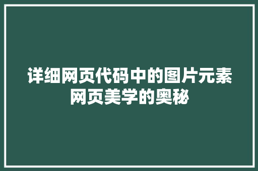 详细网页代码中的图片元素网页美学的奥秘
