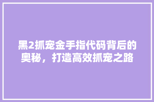 黑2抓宠金手指代码背后的奥秘，打造高效抓宠之路