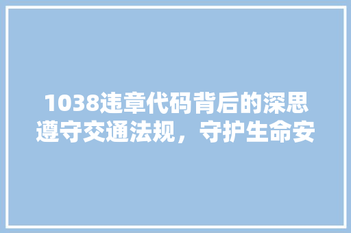 1038违章代码背后的深思遵守交通法规，守护生命安全