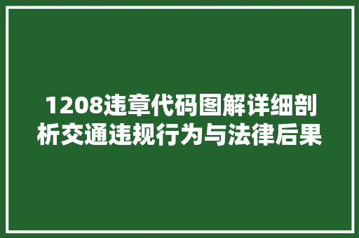 1208违章代码图解详细剖析交通违规行为与法律后果