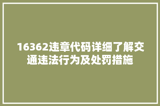 16362违章代码详细了解交通违法行为及处罚措施