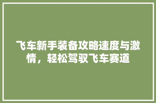 飞车新手装备攻略速度与激情，轻松驾驭飞车赛道