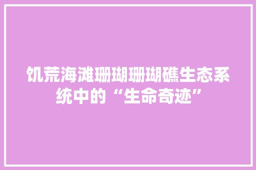 饥荒海滩珊瑚珊瑚礁生态系统中的“生命奇迹”