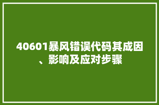 40601暴风错误代码其成因、影响及应对步骤