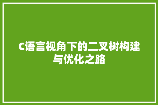 C语言视角下的二叉树构建与优化之路