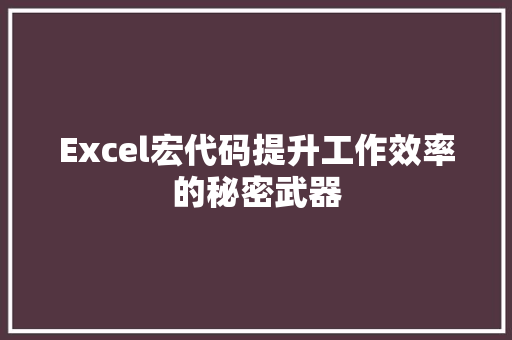 Excel宏代码提升工作效率的秘密武器