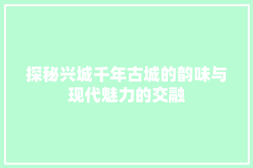 探秘兴城千年古城的韵味与现代魅力的交融