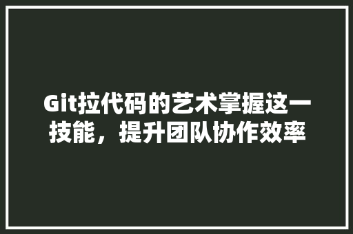Git拉代码的艺术掌握这一技能，提升团队协作效率