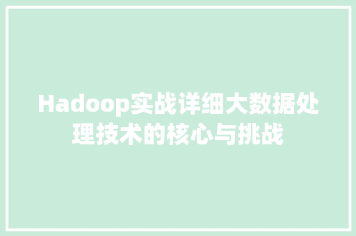 Hadoop实战详细大数据处理技术的核心与挑战