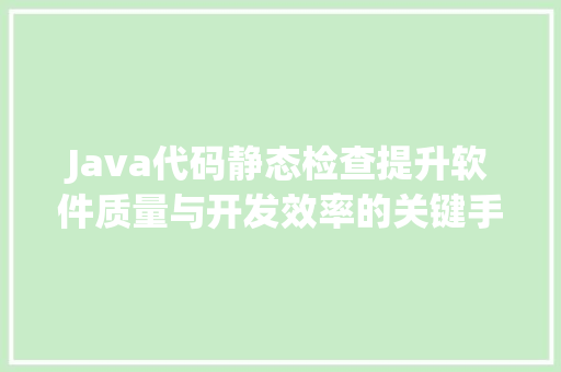Java代码静态检查提升软件质量与开发效率的关键手段