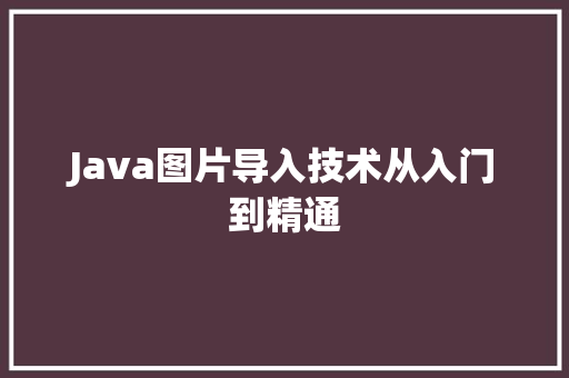 Java图片导入技术从入门到精通