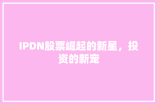 IPDN股票崛起的新星，投资的新宠
