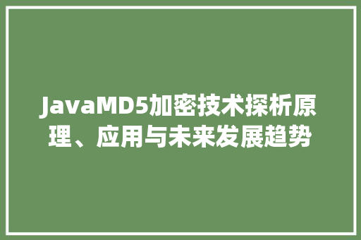 JavaMD5加密技术探析原理、应用与未来发展趋势