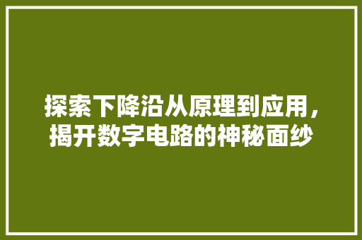 探索下降沿从原理到应用，揭开数字电路的神秘面纱