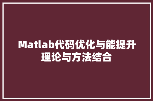 Matlab代码优化与能提升理论与方法结合