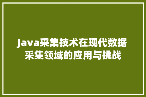 Java采集技术在现代数据采集领域的应用与挑战