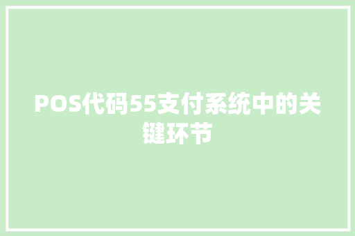 POS代码55支付系统中的关键环节
