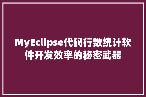 MyEclipse代码行数统计软件开发效率的秘密武器