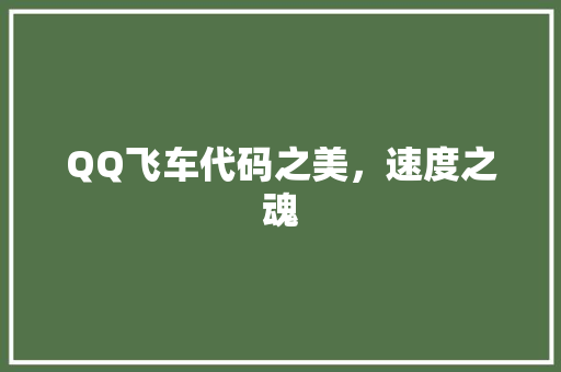 QQ飞车代码之美，速度之魂