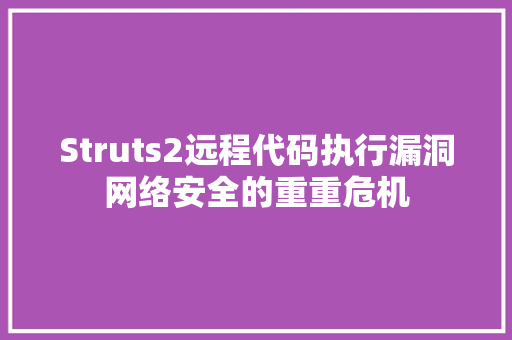 Struts2远程代码执行漏洞网络安全的重重危机