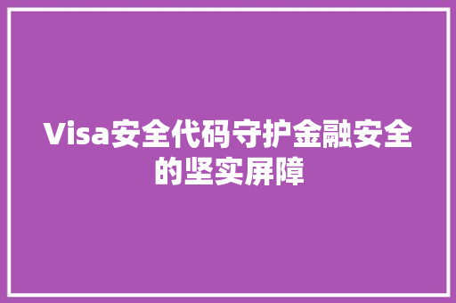 Visa安全代码守护金融安全的坚实屏障
