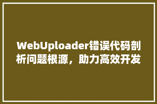 WebUploader错误代码剖析问题根源，助力高效开发