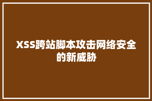XSS跨站脚本攻击网络安全的新威胁