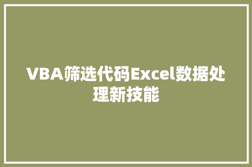 VBA筛选代码Excel数据处理新技能