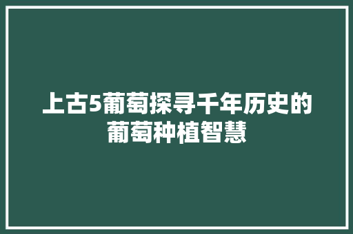 上古5葡萄探寻千年历史的葡萄种植智慧