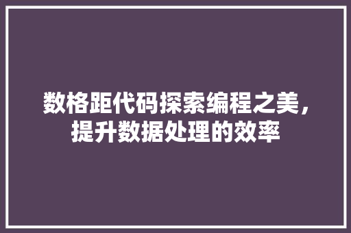 数格距代码探索编程之美，提升数据处理的效率