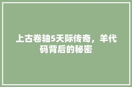 上古卷轴5天际传奇，羊代码背后的秘密