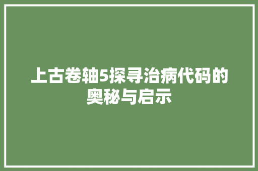上古卷轴5探寻治病代码的奥秘与启示
